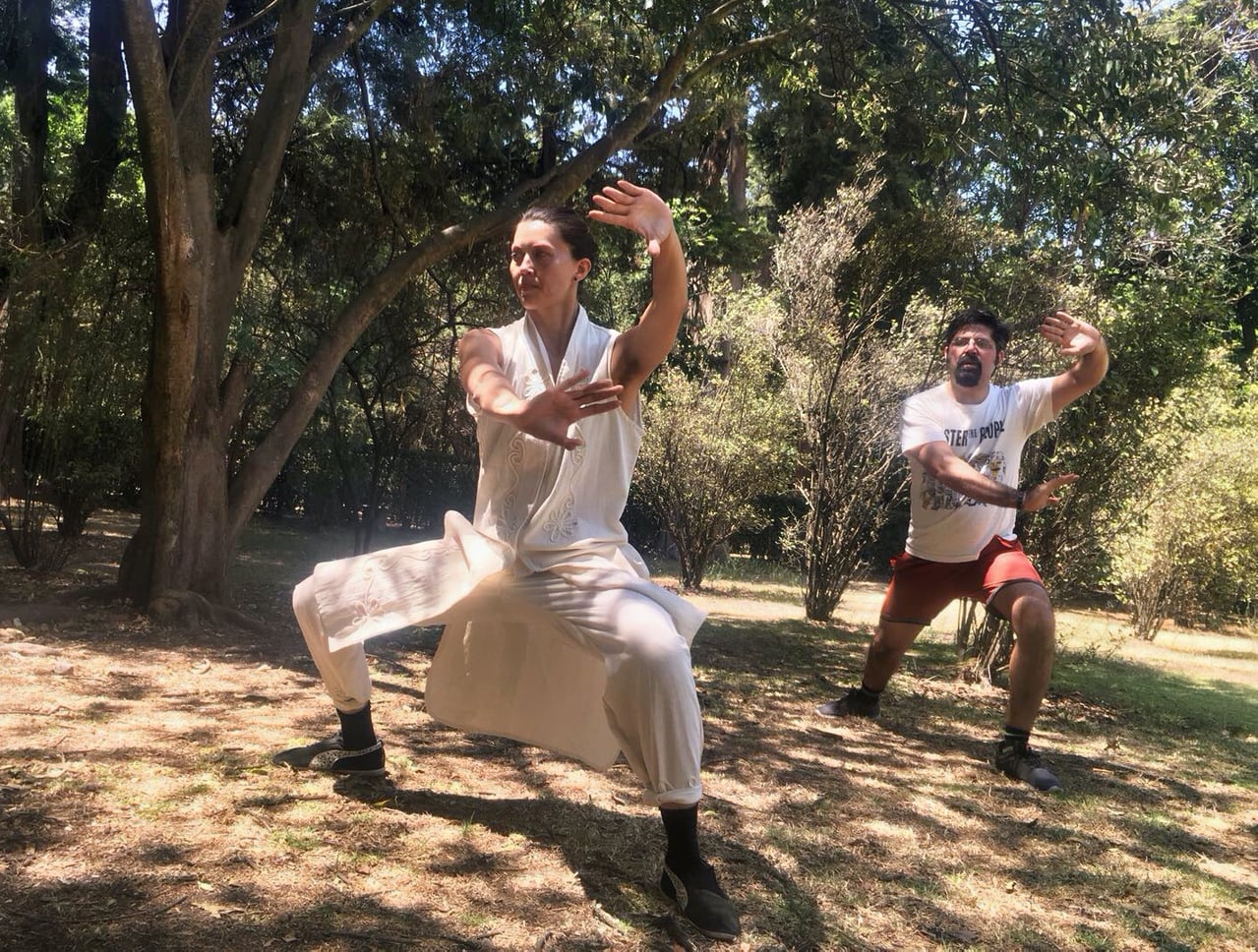 Isuini Martial Healing Arts: Personalized 9 Week Program - Restore mobility and correct structural alignment through a personalized nine-week journey. Learn consolidated internal martial arts foundations to decompress joints, heal chronic pain, and strengthen from within.